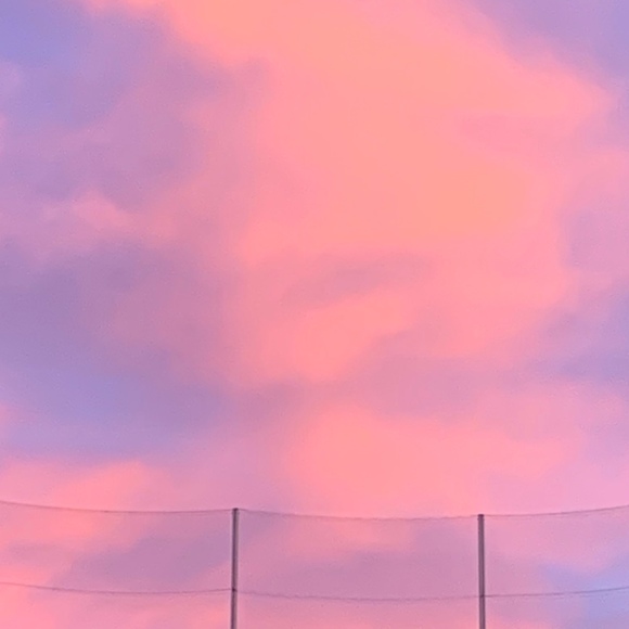 Meet your Posher, Evelyn - Picture 1 of 1